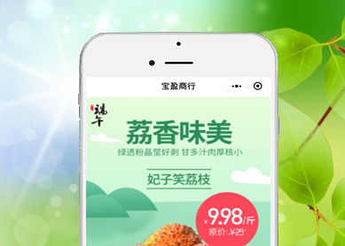 寶盈商行--黑核云計算